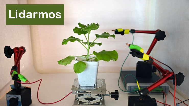 Lidarmos Explained: The Future of Smart Mapping, Collaboration, and Innovation